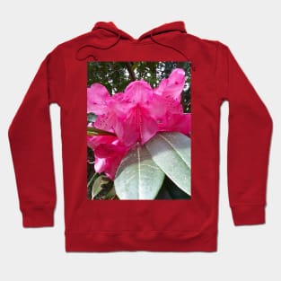 Pink Flowers Nature Photography Pacific Northwest Hoodie